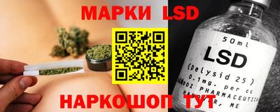 стаф Можга