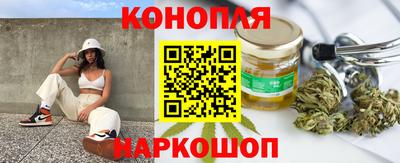 стаф Можга