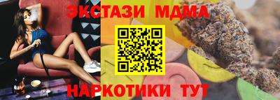 стаф Можга