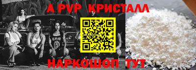 стаф Можга