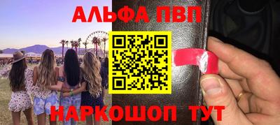 стаф Можга