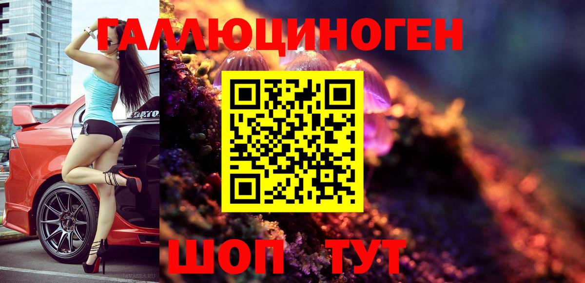 Галлюциногенные грибы Psilocybine cubensis Ханты-Мансийск